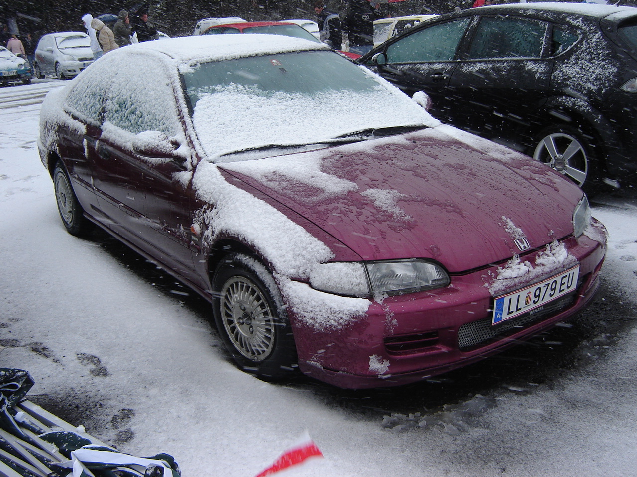 DSC01132.JPG