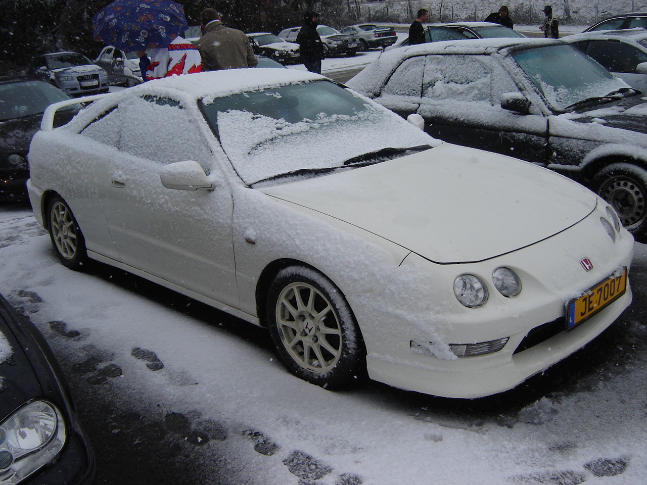 DSC01138.JPG