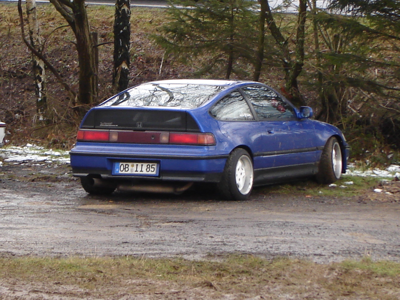 DSC01218.JPG
