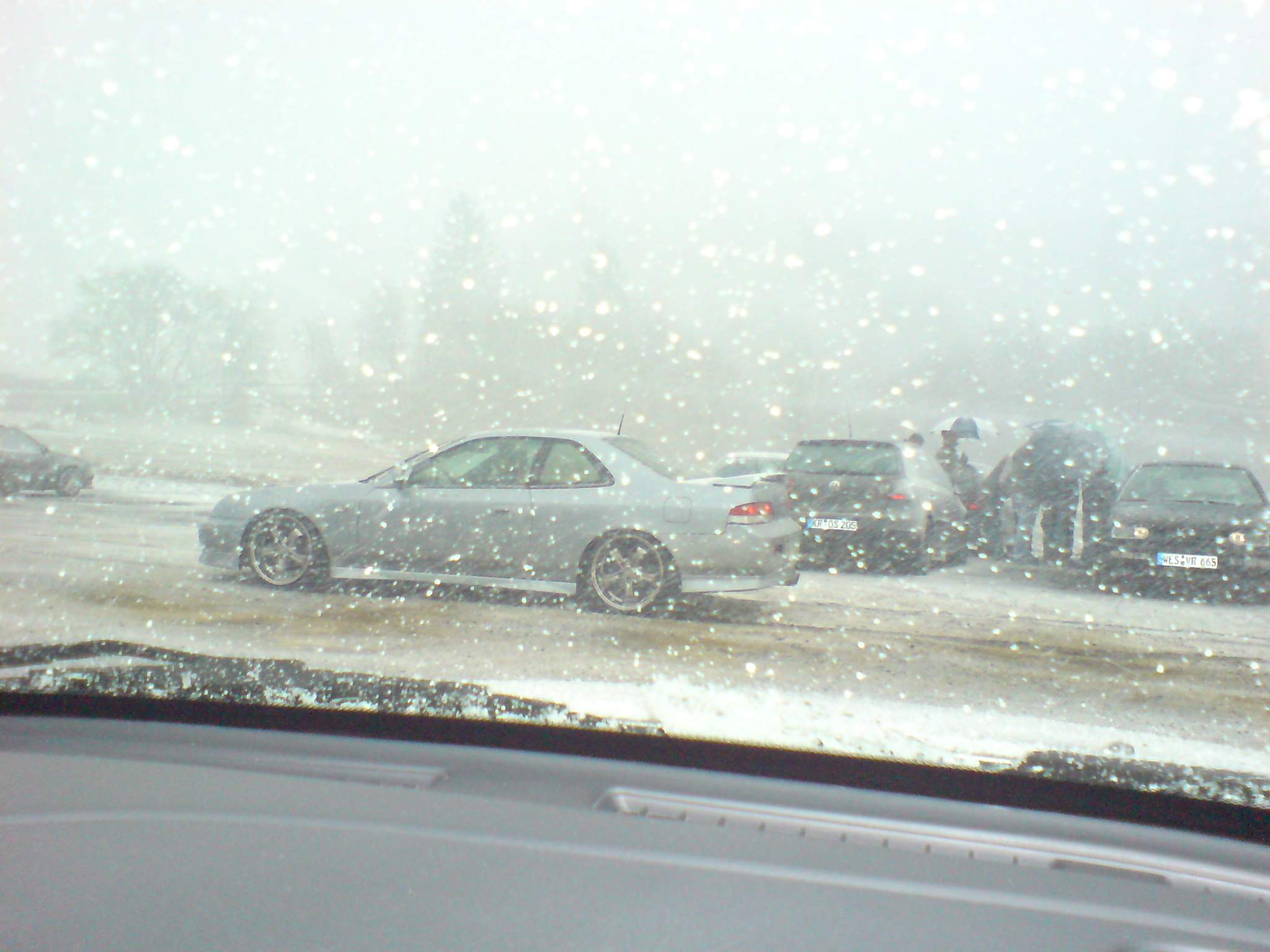 DSC02697.JPG
