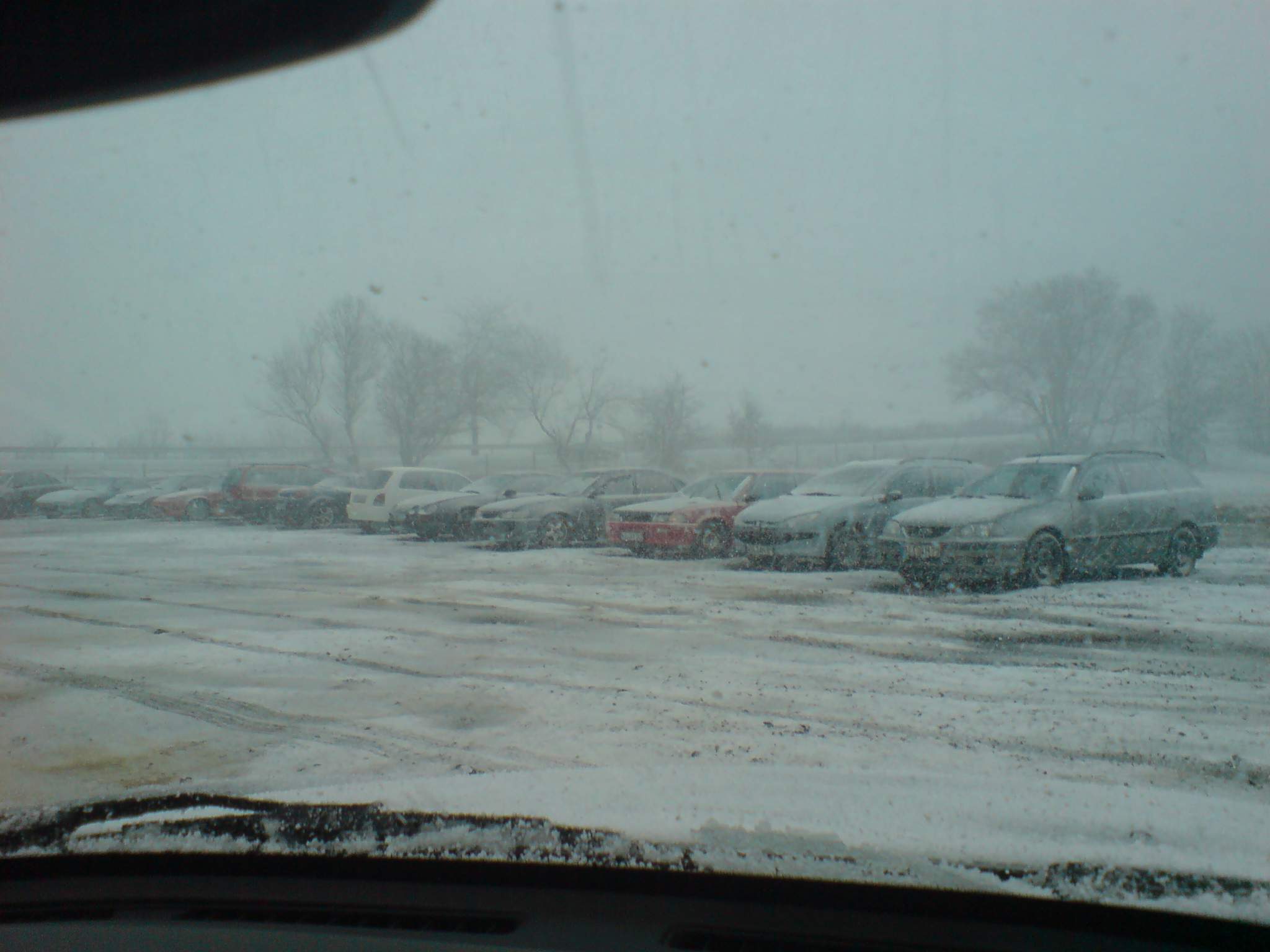 DSC02700.JPG
