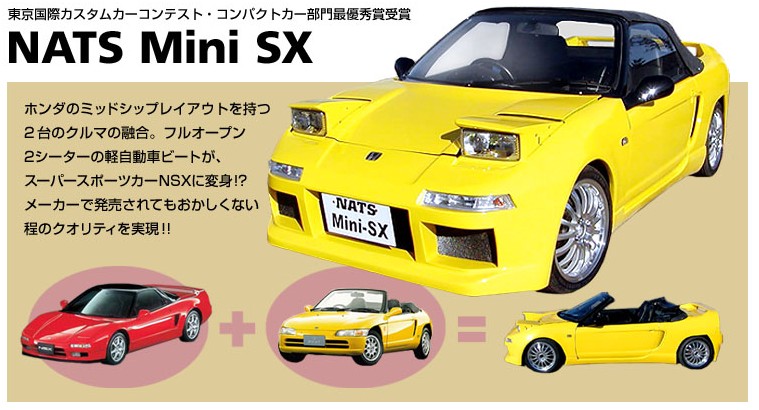 nsxmini.jpg