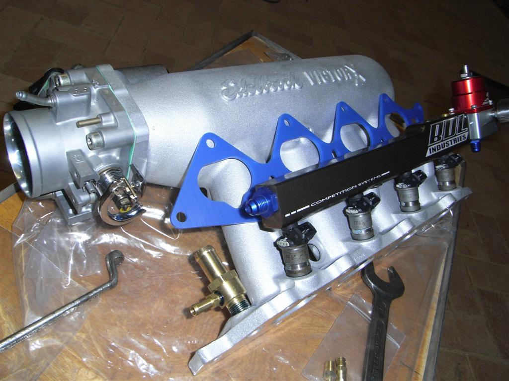 RIMG0381 (Large).JPG