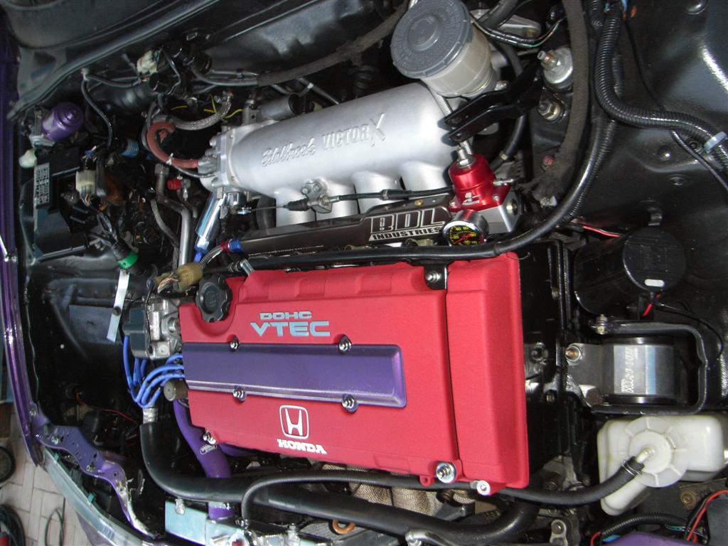 RIMG0387 (Large).JPG