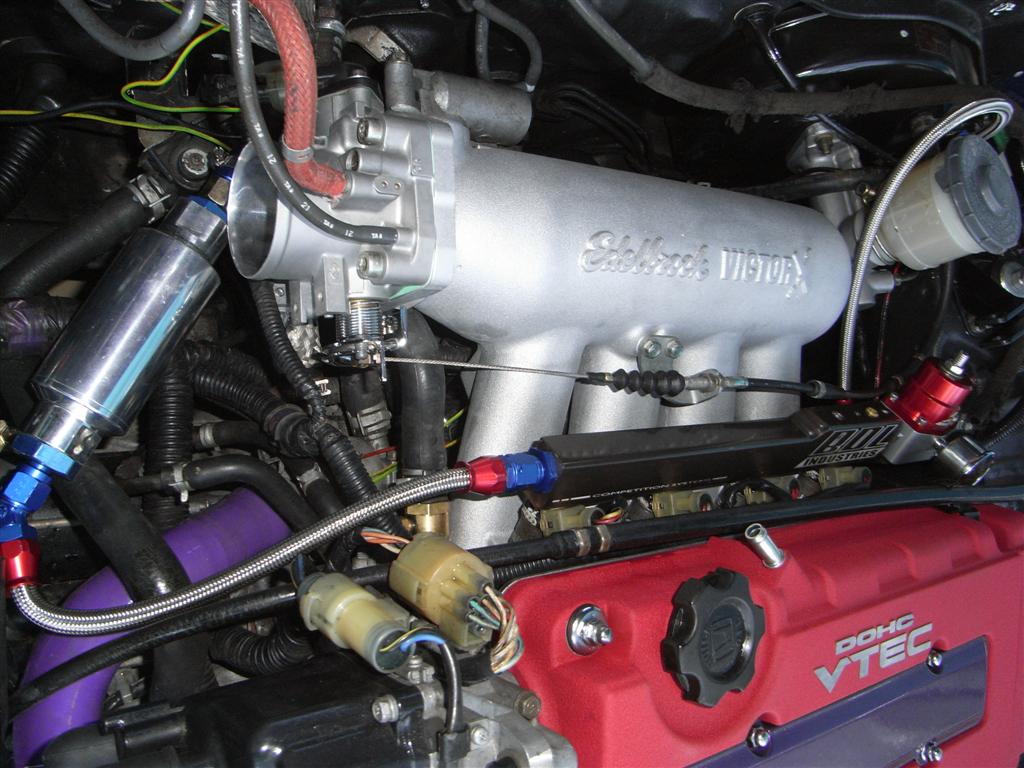 RIMG0390 (Large).JPG