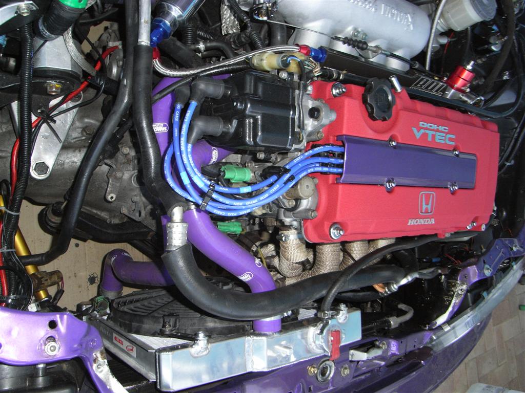 RIMG0391 (Large).JPG
