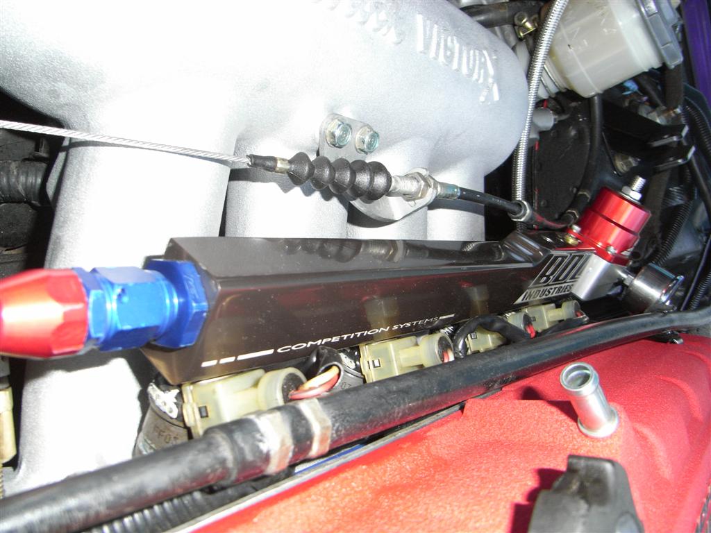 RIMG0393 (Large).JPG