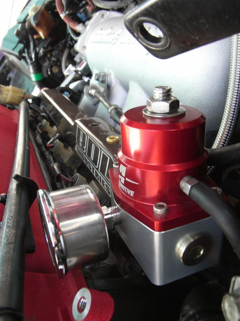 RIMG0412 (Large).JPG