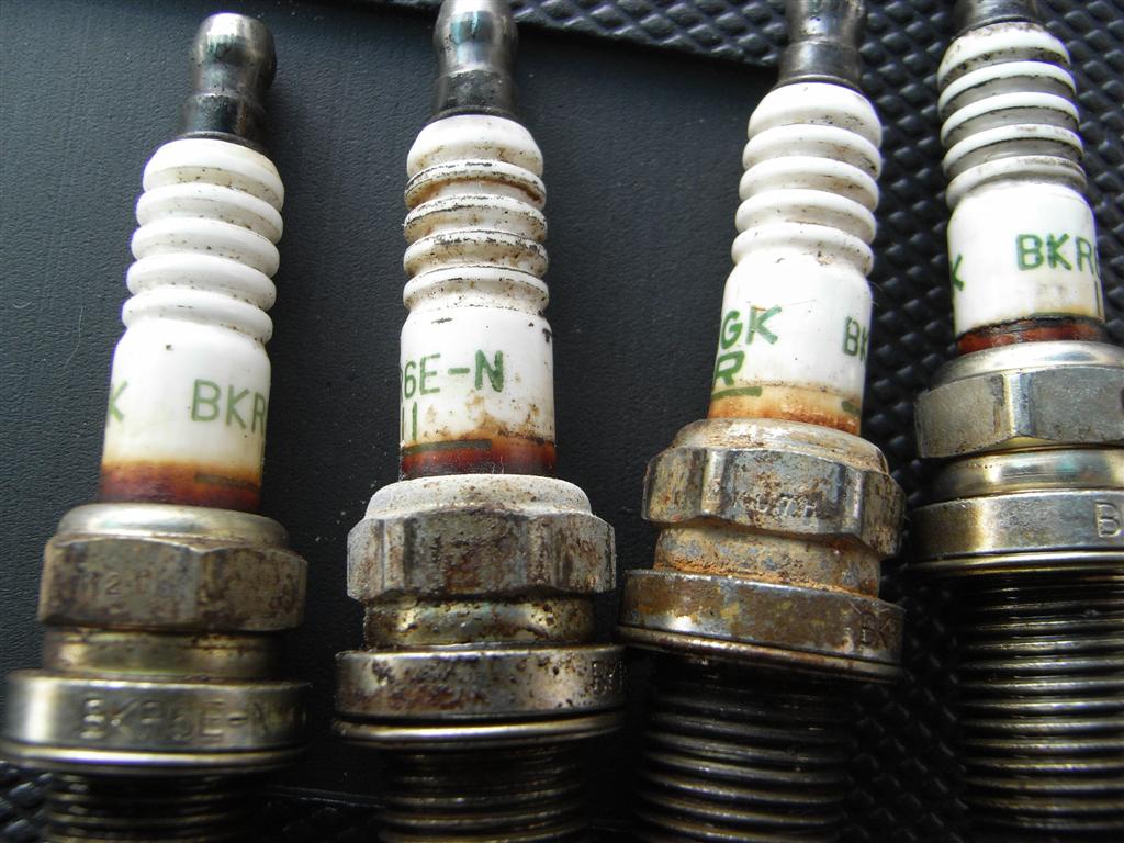 RIMG0417 (Large).JPG