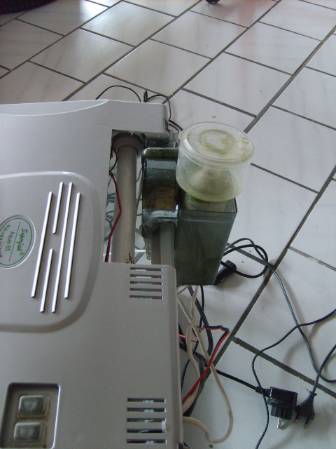 SD531129.JPG