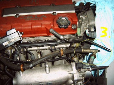 IMG00686.JPG