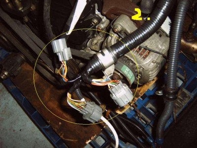 IMG00690.JPG