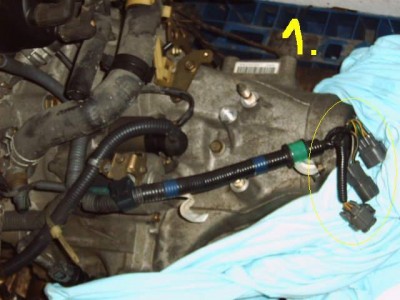 IMG00693.JPG