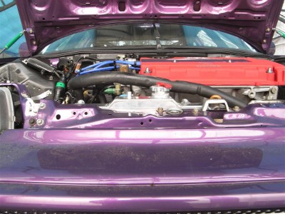 RIMG0373 (Large).JPG