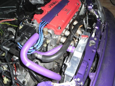 RIMG0376 (Large).JPG