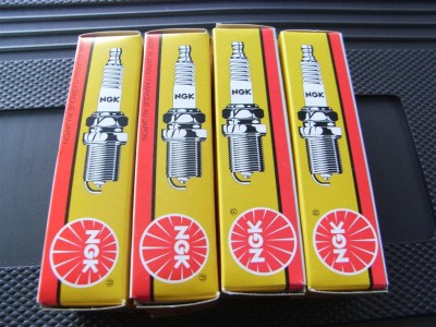 RIMG0413 (Large).JPG