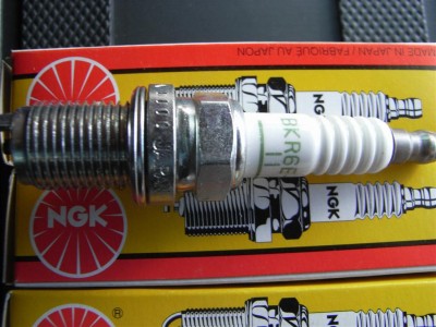 RIMG0415 (Large).JPG