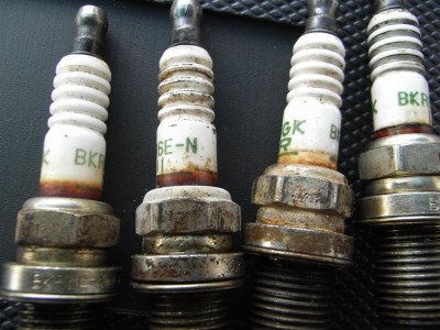 RIMG0417 (Large).JPG