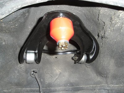 RIMG0446 (Large).JPG