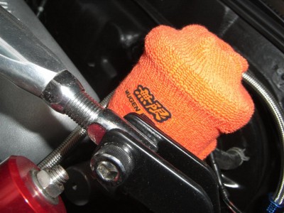 RIMG0452 (Large).JPG
