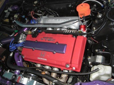 RIMG0457 (Large).JPG
