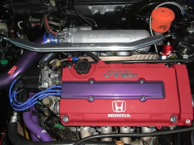 RIMG0458 (Large).JPG