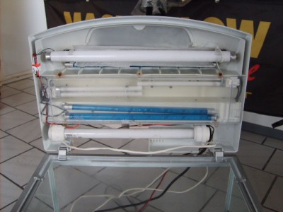 SD531123.JPG