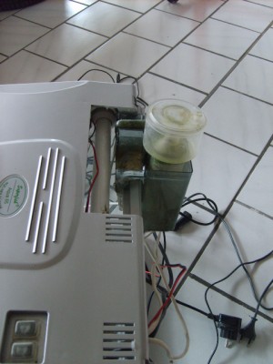 SD531129.JPG