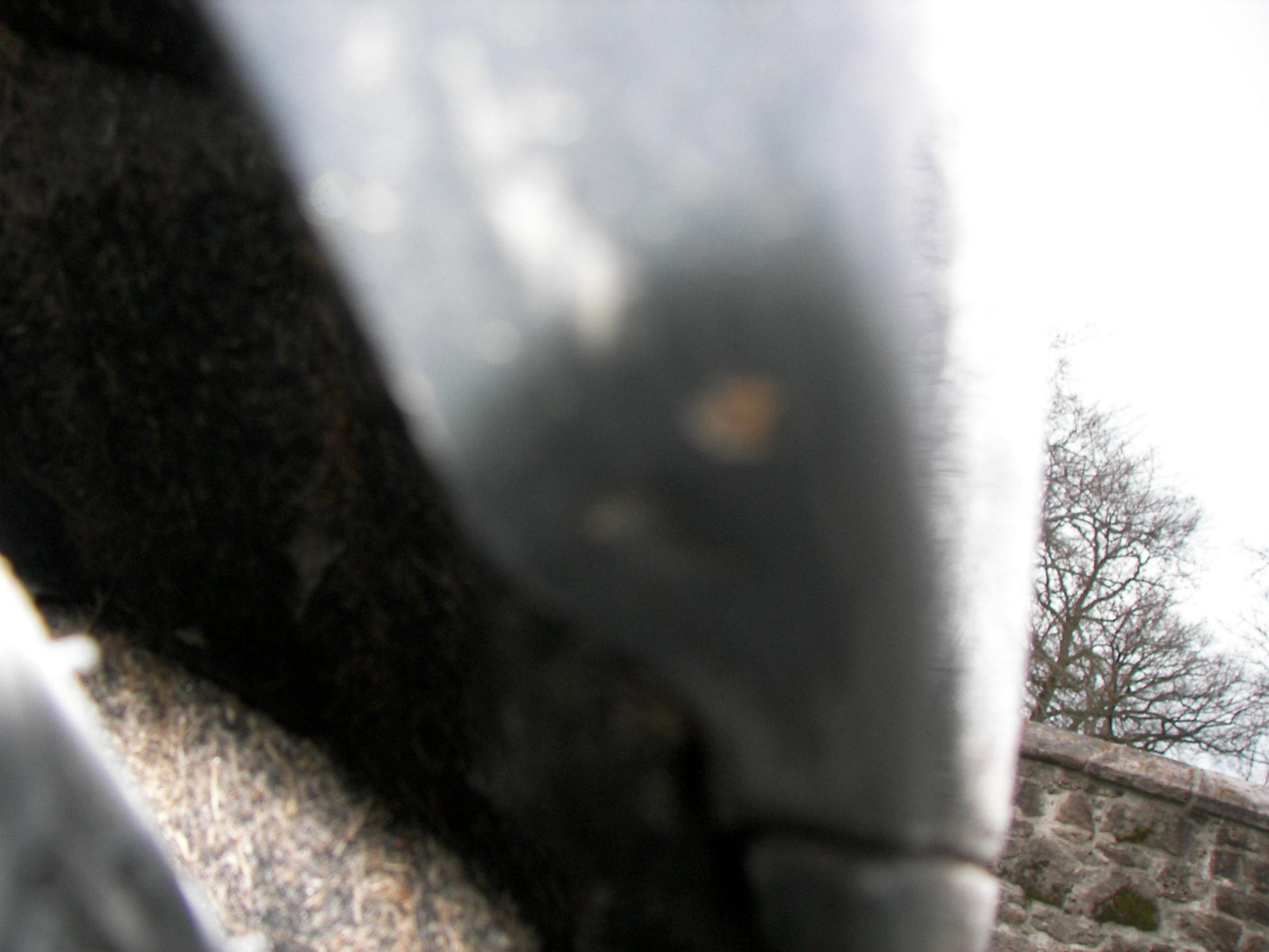 100_0519.jpg