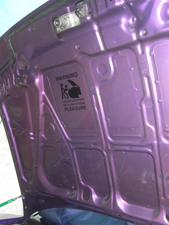 RIMG0356 (Large).JPG