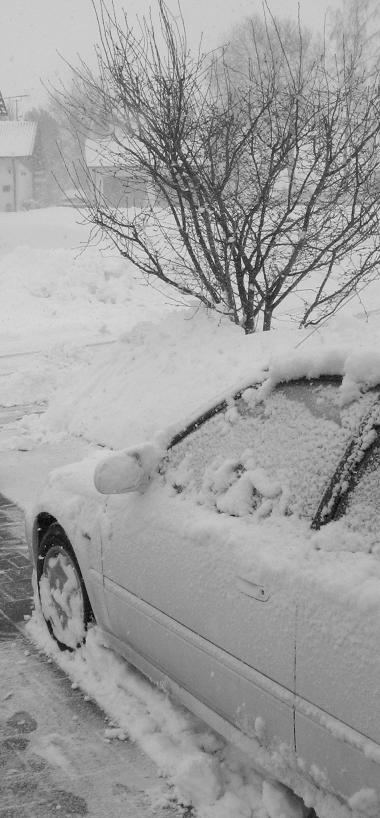Schnee 004.JPG