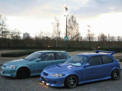 IMG_5781.gif