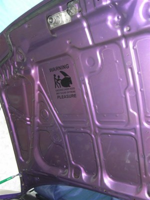 RIMG0356 (Large).JPG