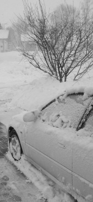 Schnee 004.JPG