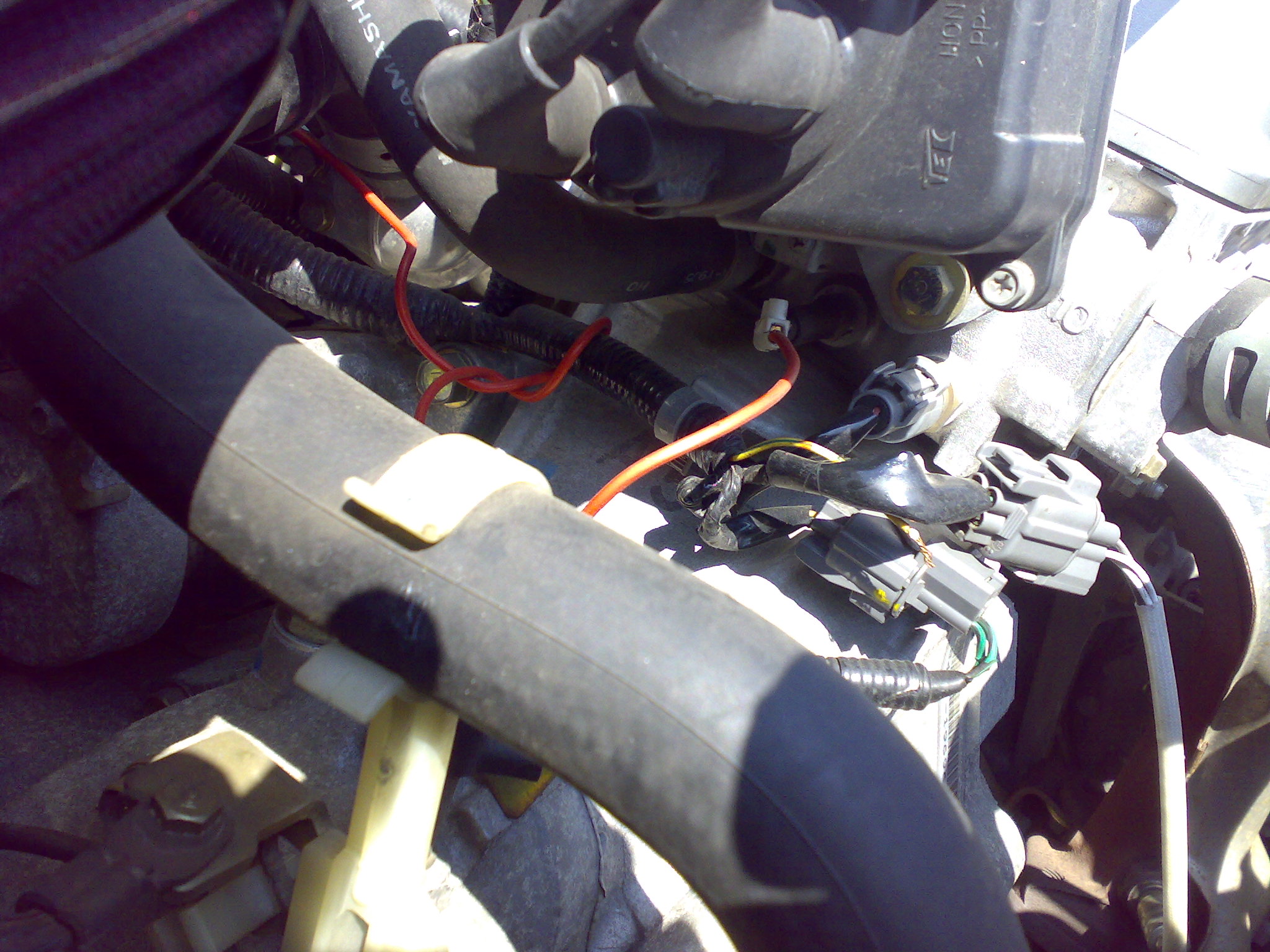 07052008966.jpg