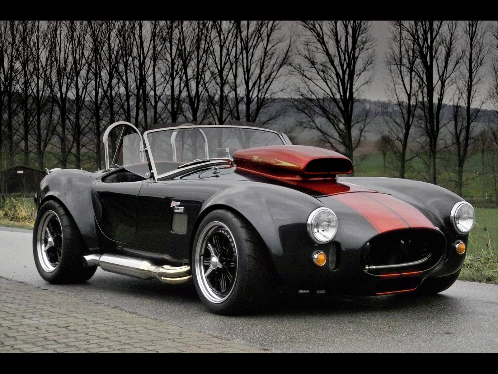 ###-cobra.jpg