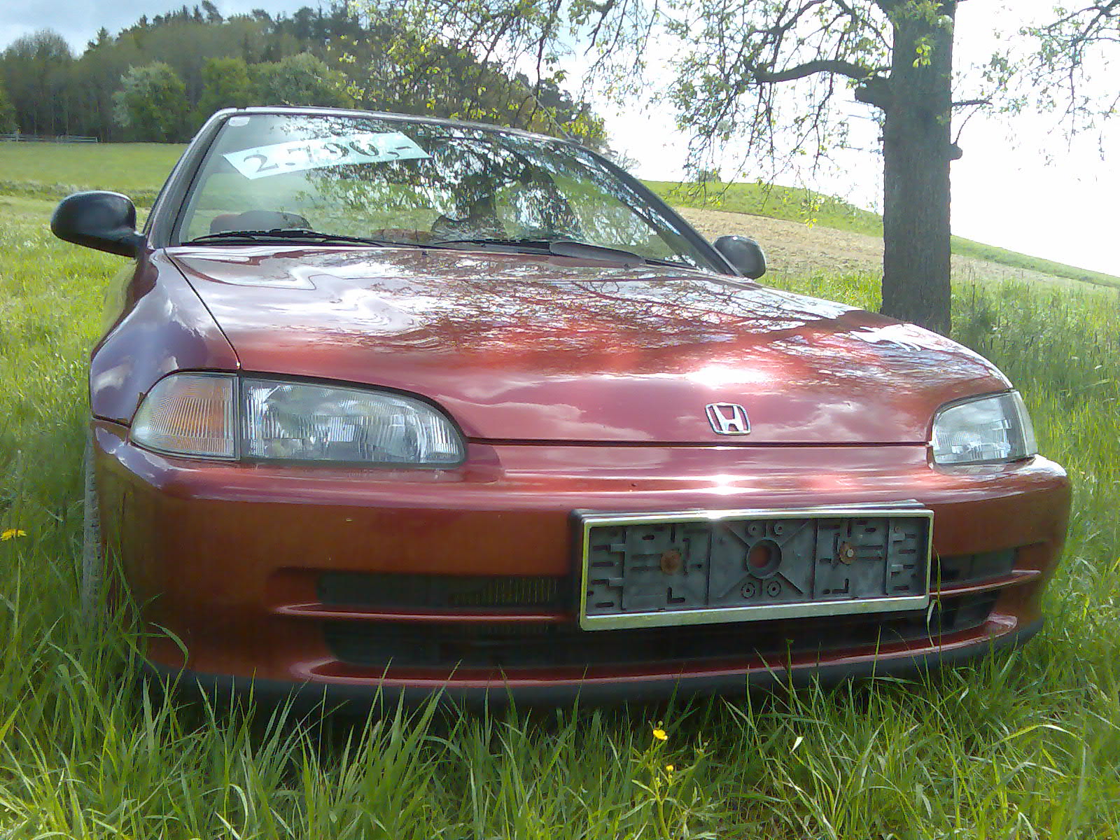 Bild049.jpg