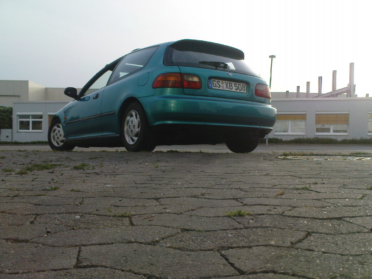 DSC00383.JPG