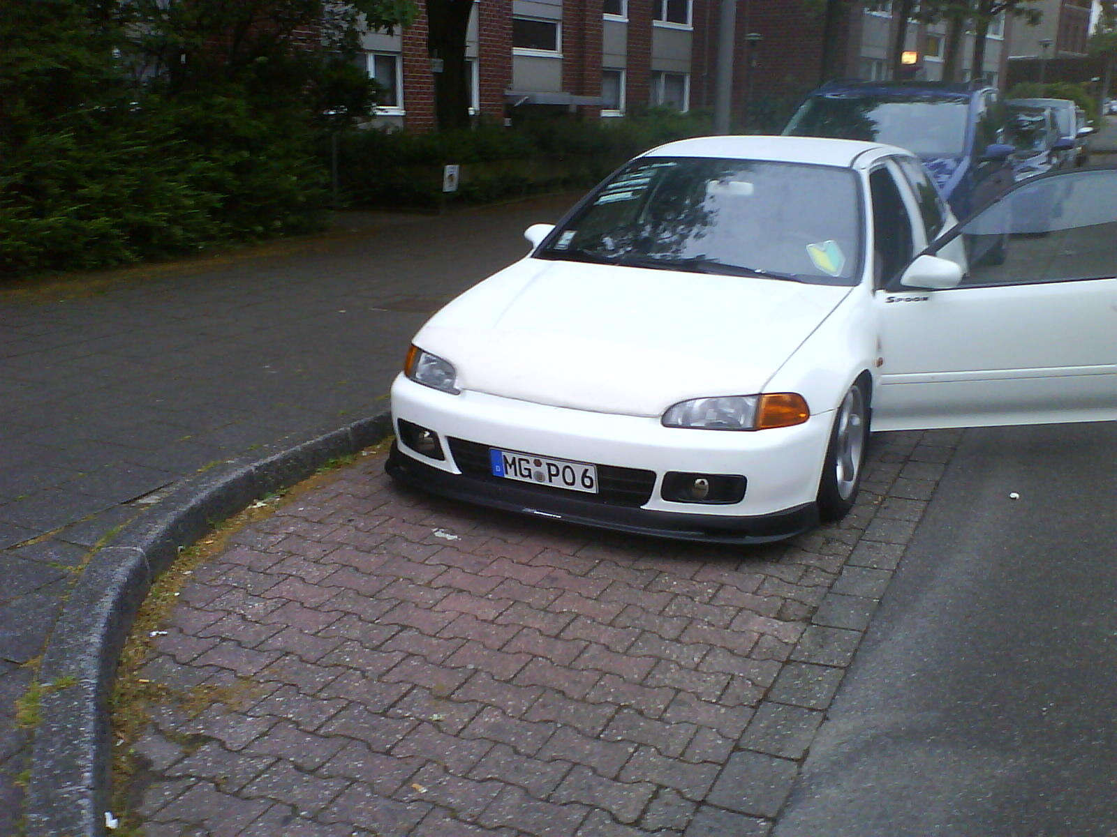 DSC00464.JPG