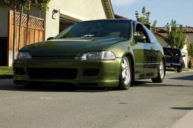 dsc0273mn6.jpg