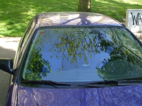 DSCF0713.jpg