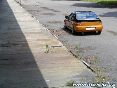 0484_38.jpg