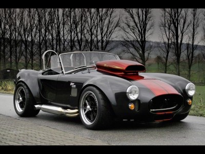 ###-cobra.jpg