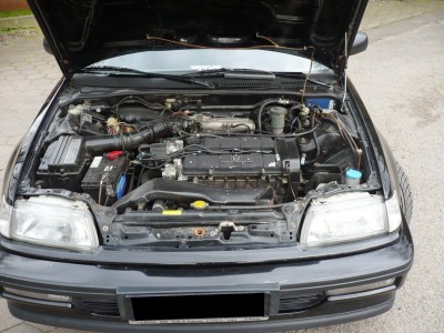 d16z5.JPG