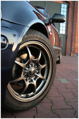 Toyo with Rotas.jpg