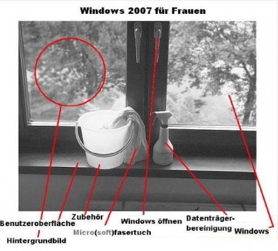 windows.jpg