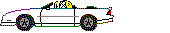 auto_wos6.gif