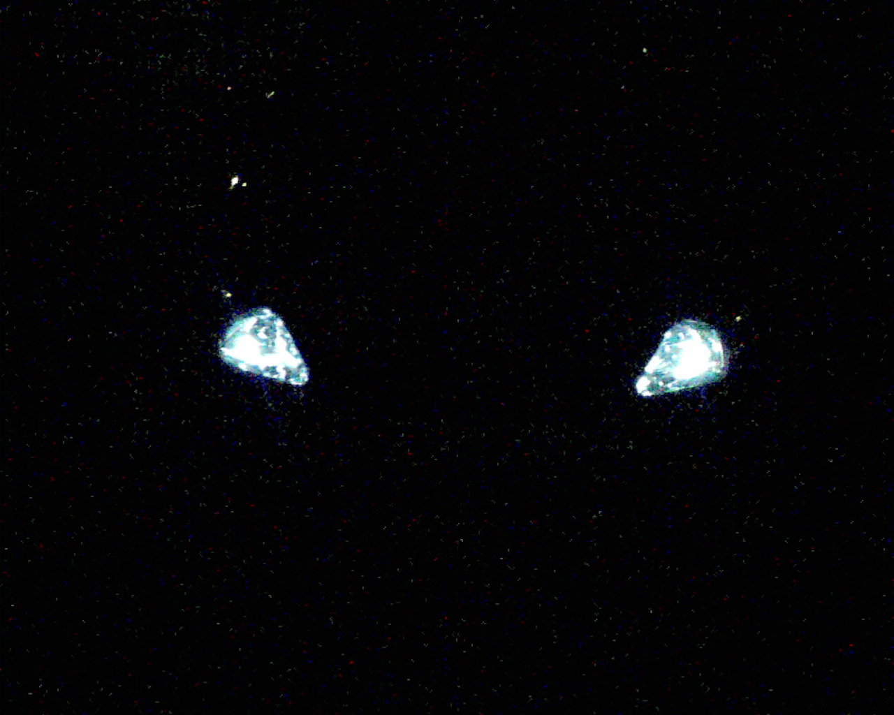 Bild019.jpg