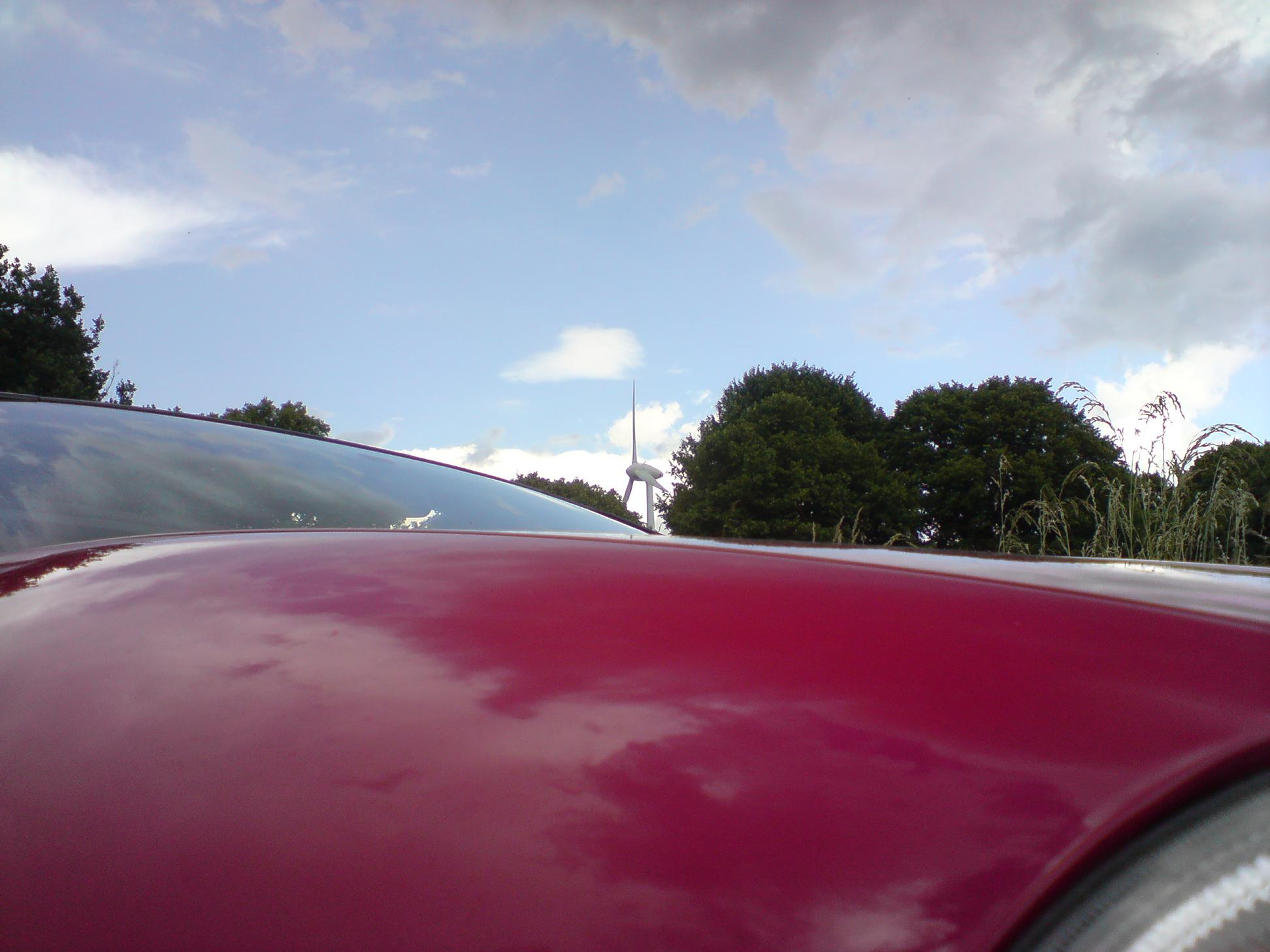 DSC00554.jpg
