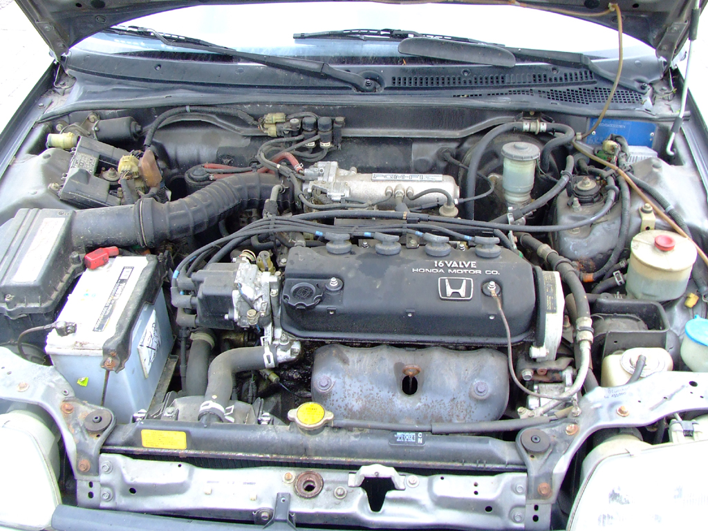 DSCF6867.JPG